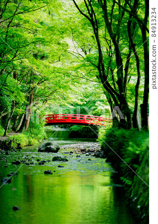 Okuni Shrine Fresh green and stream 84913234