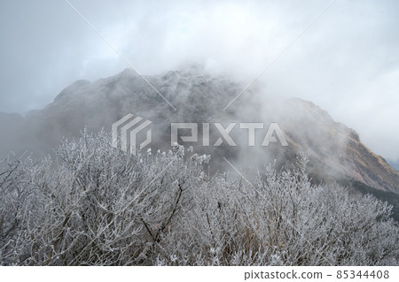 Heiseishinyama in winter 85344408