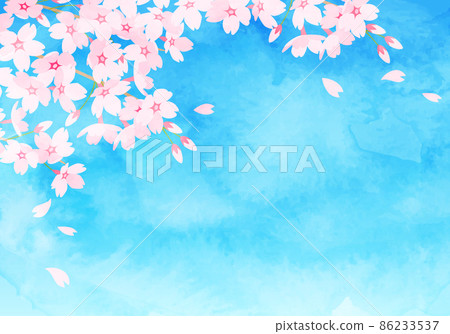 Watercolor blue sky and cherry blossoms and petals vector illustration 86233537