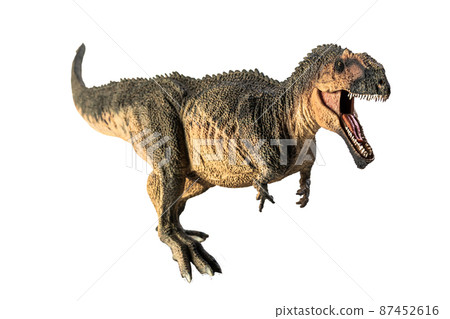 Giganotosaurus   , dinosaur on white background . 87452616