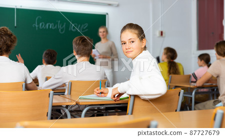 Portrait of schoolgirl at lesson in school 87727679