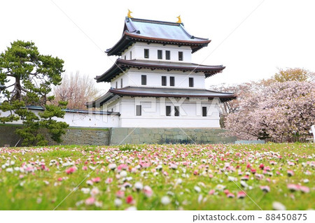 Matsumae Castle and Sakura Ninomaru side 88450875