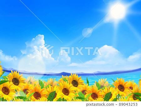 Early summer frame background material of sunflower field by the sea where beautiful sunflowers bloom under the sun in the blue sky with clouds 89043253