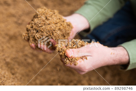 Closeup of beer bagasse in female hands 89298746