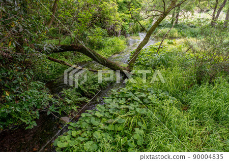 Kakita River Park, one of Japan's three major clear streams 90004835