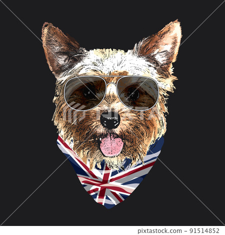 Yorkshire Terrier portrait, Cute cool dog in glasses and UK flag bandana, Vector illustration 91514852