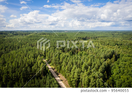 Drone view of road and forest in golden time 95640055