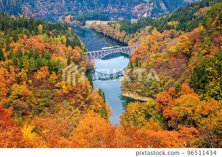 Tadami Line Train crossing the Daiichi Tadami River Bridge in the morning with beautiful autumn leaves (Mishima Town, Fukushima Prefecture, November) 96511434