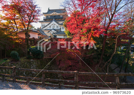 Okazaki Castle in autumn <Okazaki City, Aichi Prefecture> 96973620