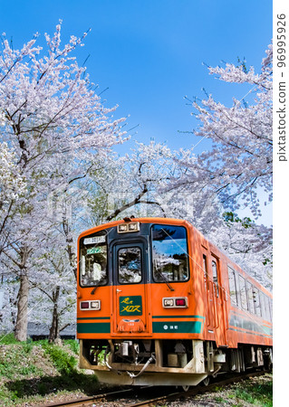 青森縣津輕鐵道～櫻花盛開的蘆野公園～ 96995926