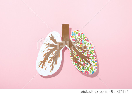 World lung day or lung healthy concept on pink background 96037125