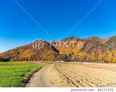 Shinshu Kawakami Village Refreshing scenery of the highland in sunny autumn 96233749