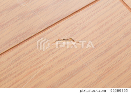 Scratches on flooring (floor) 96369565