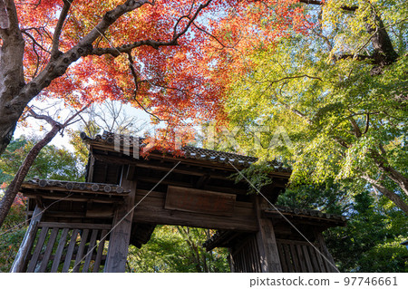 [Tokushima Prefecture] Autumn leaves at Jorokuji Temple 97746661