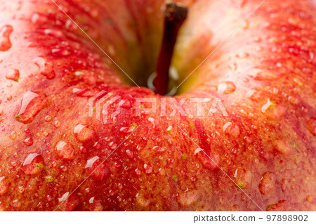 apple with water droplets 97898902