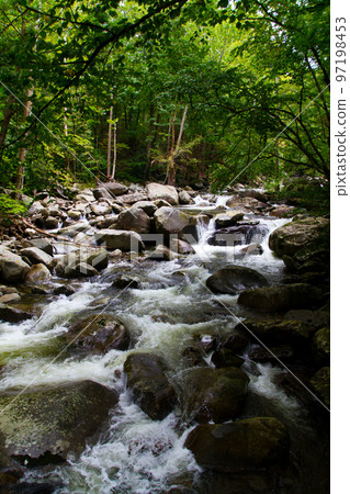 White water tumbles over a very rocky riverbed through a wooded forest area 97198453