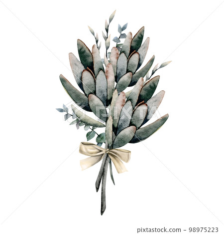 Watercolor succulents bouquet with eucaliptus branches and grass with bow knot isolated on white background 98975223