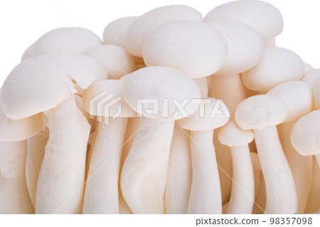 porcini shimeji mushrooms isolated 98357098