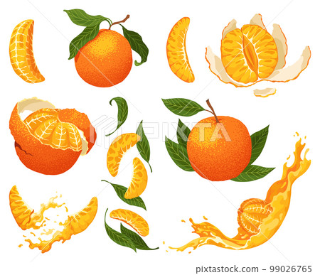 Mandarin icon set. Cartoon isolated sweet citrus fruit. Fresh tropical tangerine. Organic vector illustration. Whole, orange twist peel, clementine with leaves. Unpeeled and skinless with segments 99026765