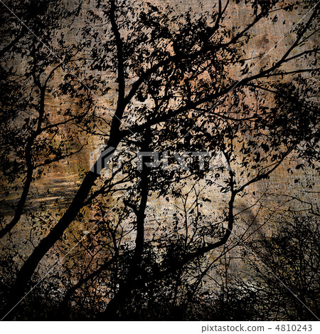 art grunge forest background card 4810243