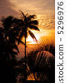 Silhouette of sunset and palm 5296976