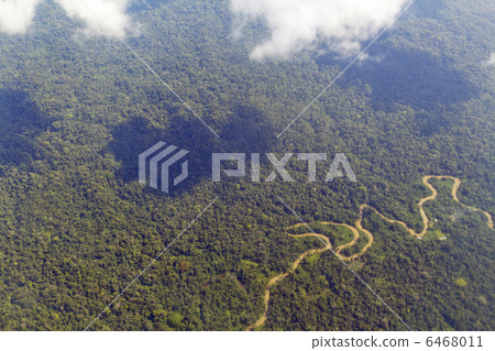 The Shiripuno river in the Ecuadorian Amazon 6468011