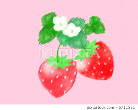 Strawberry fruit sweet flower leaf real dessert spring seedling cultivation white flower 6711551