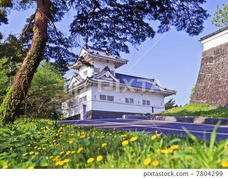 Aoba castle in the spring, Namamo 7804299