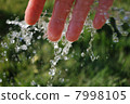 Cold water on green background 7998105