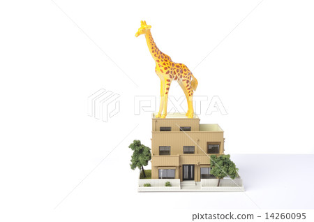 Wildlife and housing 14260095