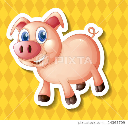 Pig 14365709