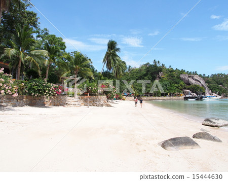 Tropical beach image Thailand Koh Tao 15444630