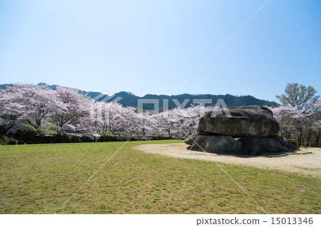 Cherry blossom season's stone arena tomb 15013346