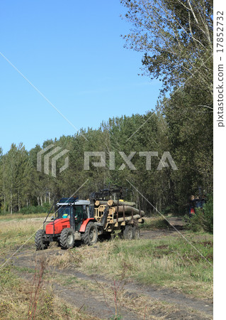 Lumber industry 17852732