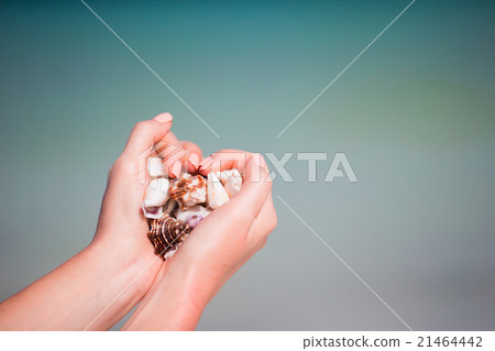 Closeup of hands holding variety of beautiful 21464442