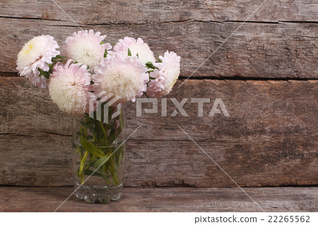 white asters in a glass 22265562