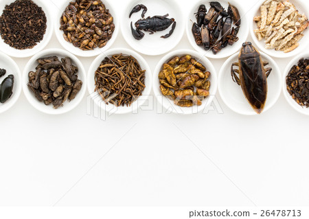 Insect food: Entomophagy 26478713