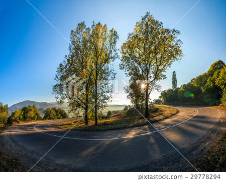 trees on serpentine in mountains at sunrise 29778294