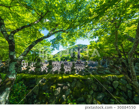 Fresh green and unrelated Buddha of Yueno Buddha temple 30884550