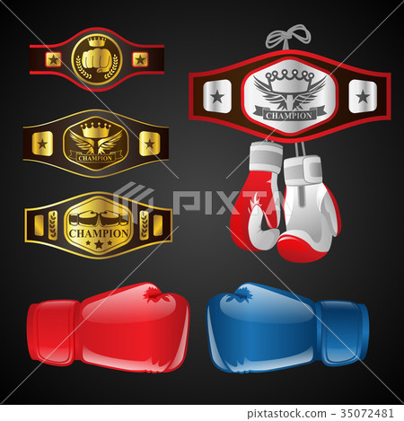 Set of MMA objects - modern vector realistic 35072481