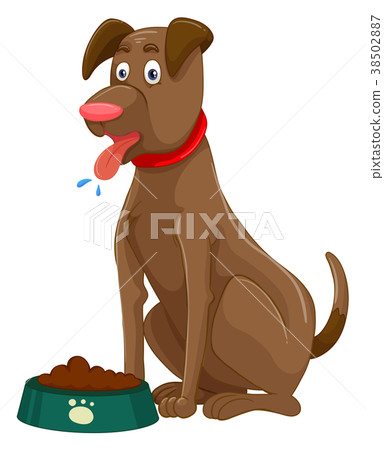 Brown dog with dried food in bowl 38502887