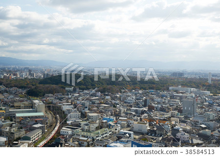 City of Sakai City and Nintoku Emperor's Tomb 38584513