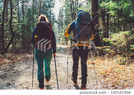 Back view of mountaineering couple walking in the forest with hiking poles 100585906