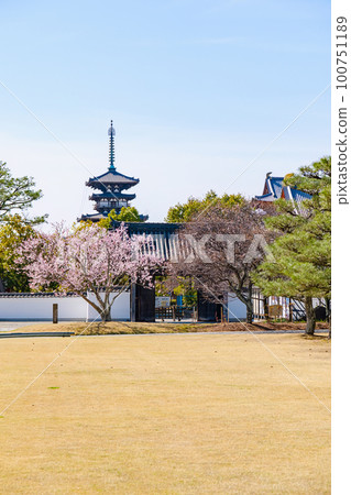 [Nara Prefecture] Yakushiji Temple in Nara City (taken on March 20, 2023) 100751189