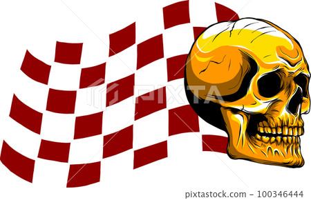 Skull with race Flag vector illustration 100346444