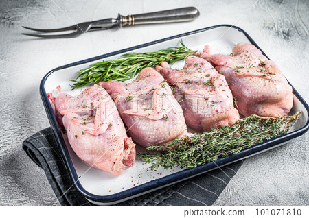 Raw quail meat with spices, garlic and herbs ready to cooking in baking dish. White background. Top view 101071810