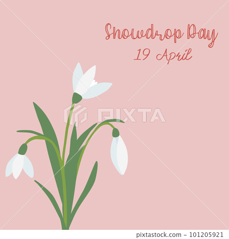 Greeting card with snowdrops spring flowers, Snowdrops day, place for text, vector 101205921