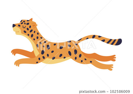 Cute jumping baby leopard. Beautiful wild predator animal cartoon vector illustration 102586009