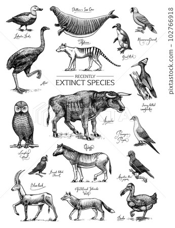 Extinct species. Wild mammal animals and birds. Dodo, Moa, Tasmanian wolf, Quagga. Aurochs. Blue 102766918