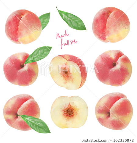 Illustration of a peach with a sweet scent 102330978